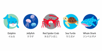 100% COTTON HANDKERCHIEF | OCEAN FRIENDS | IMABARI TOWEL 今治