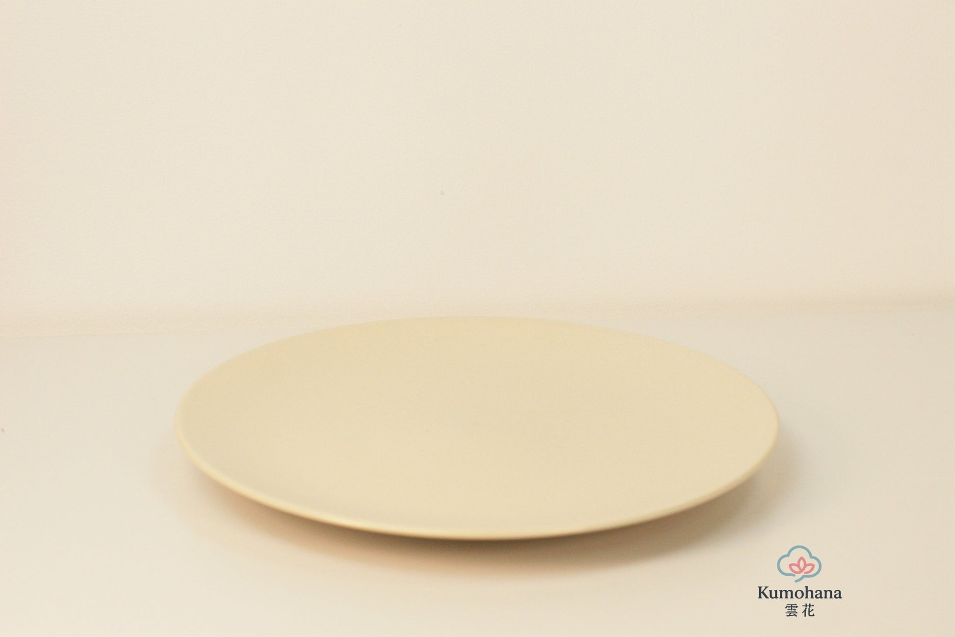 JAPANESE MINIMALIST FLAT PLATE | MINO WARE 美濃土産