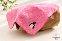 100% COTTON HANDKERCHIEF | BOTANICAL GARDEN | IMABARI TOWEL 今治