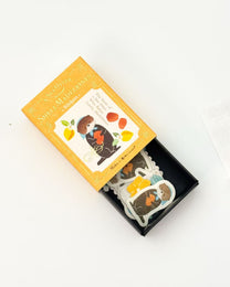 RESSA PANDA BOOKS | MINI BOOK WASHI FLAKE STICKERS | NB