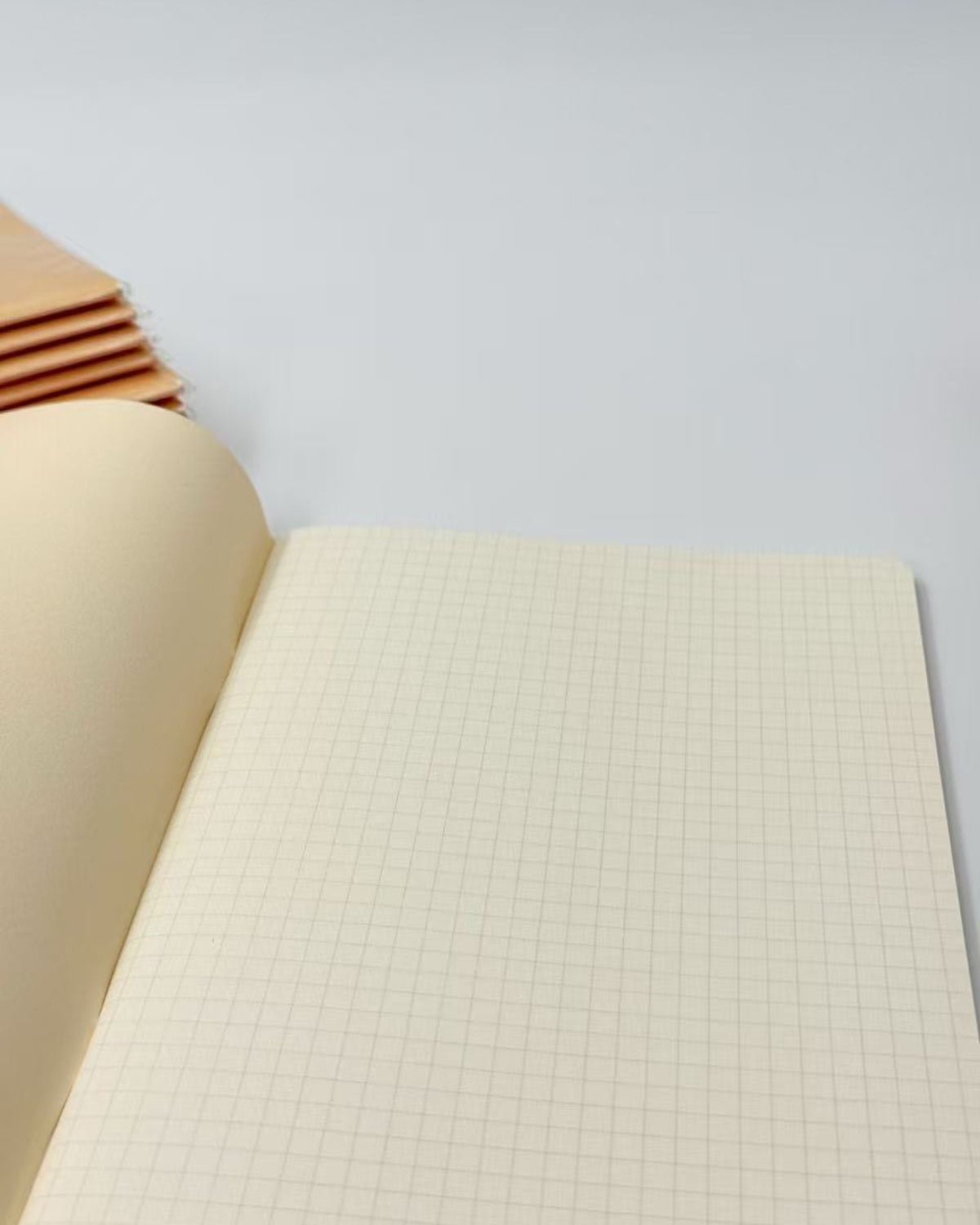 RYURYU MULA | JAPANESE CAT ILLUSTRATION A5 NOTEBOOKS | MDS