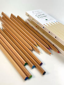 12 COLOUR PENCIL SET | CAMEL PENCIL