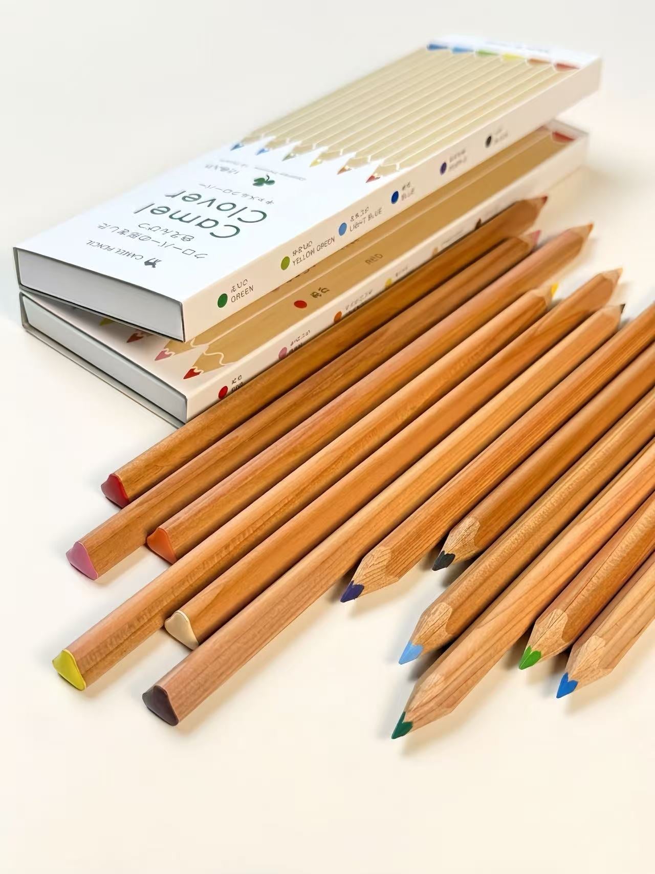 12 COLOUR PENCIL SET | CAMEL PENCIL