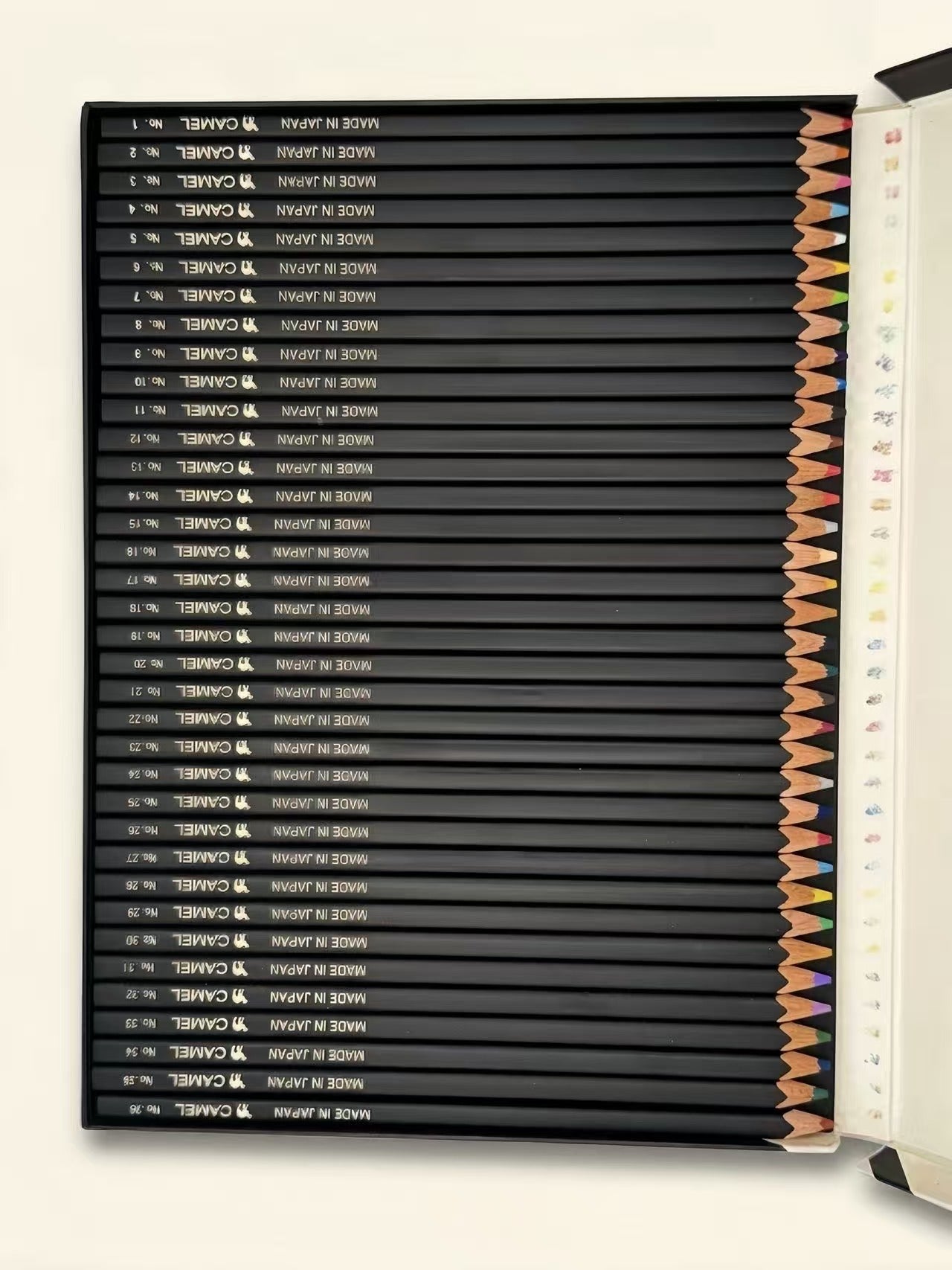 36 COLOUR PENCIL SET | CAMEL PENCIL