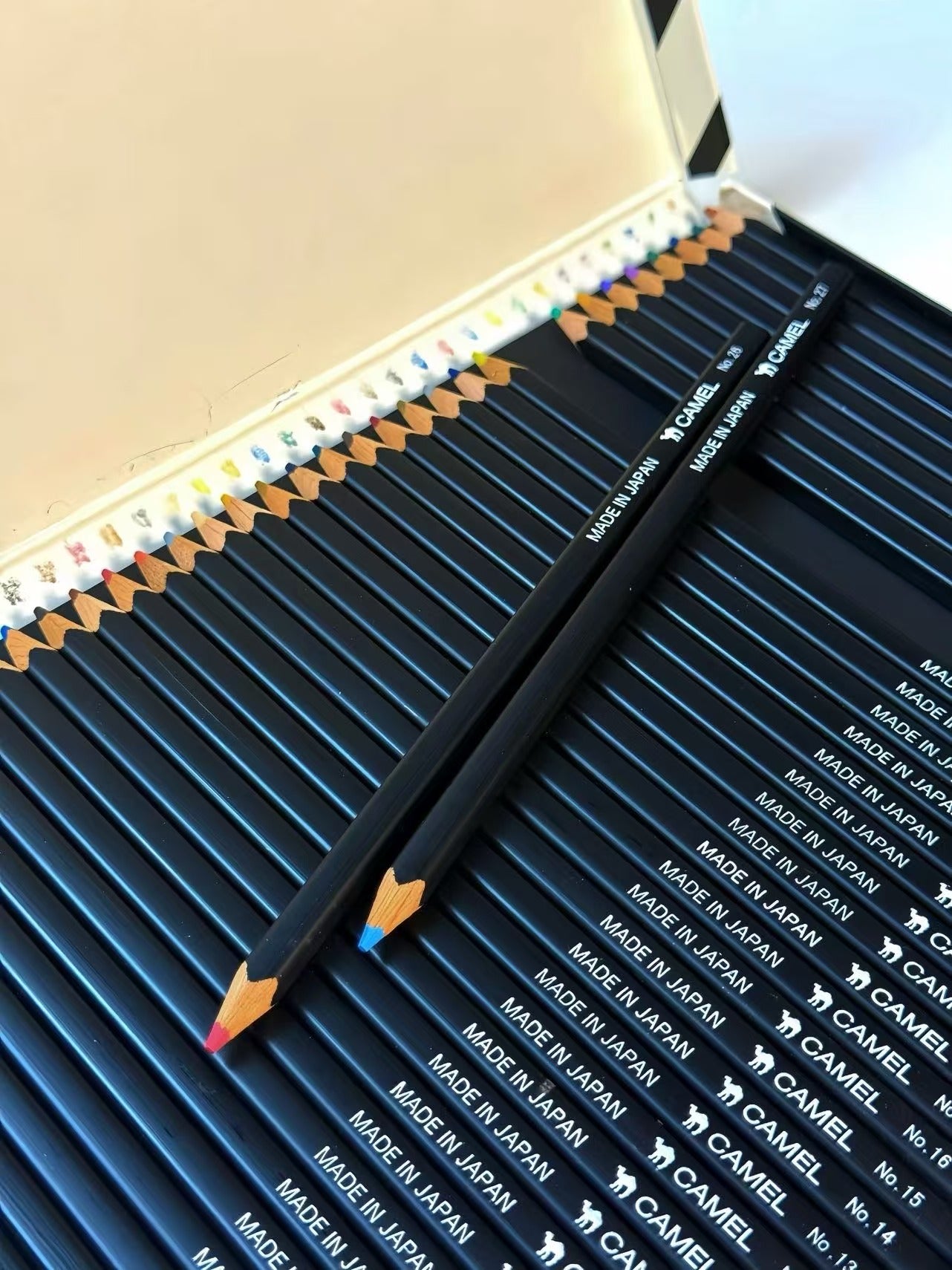 36 COLOUR PENCIL SET | CAMEL PENCIL