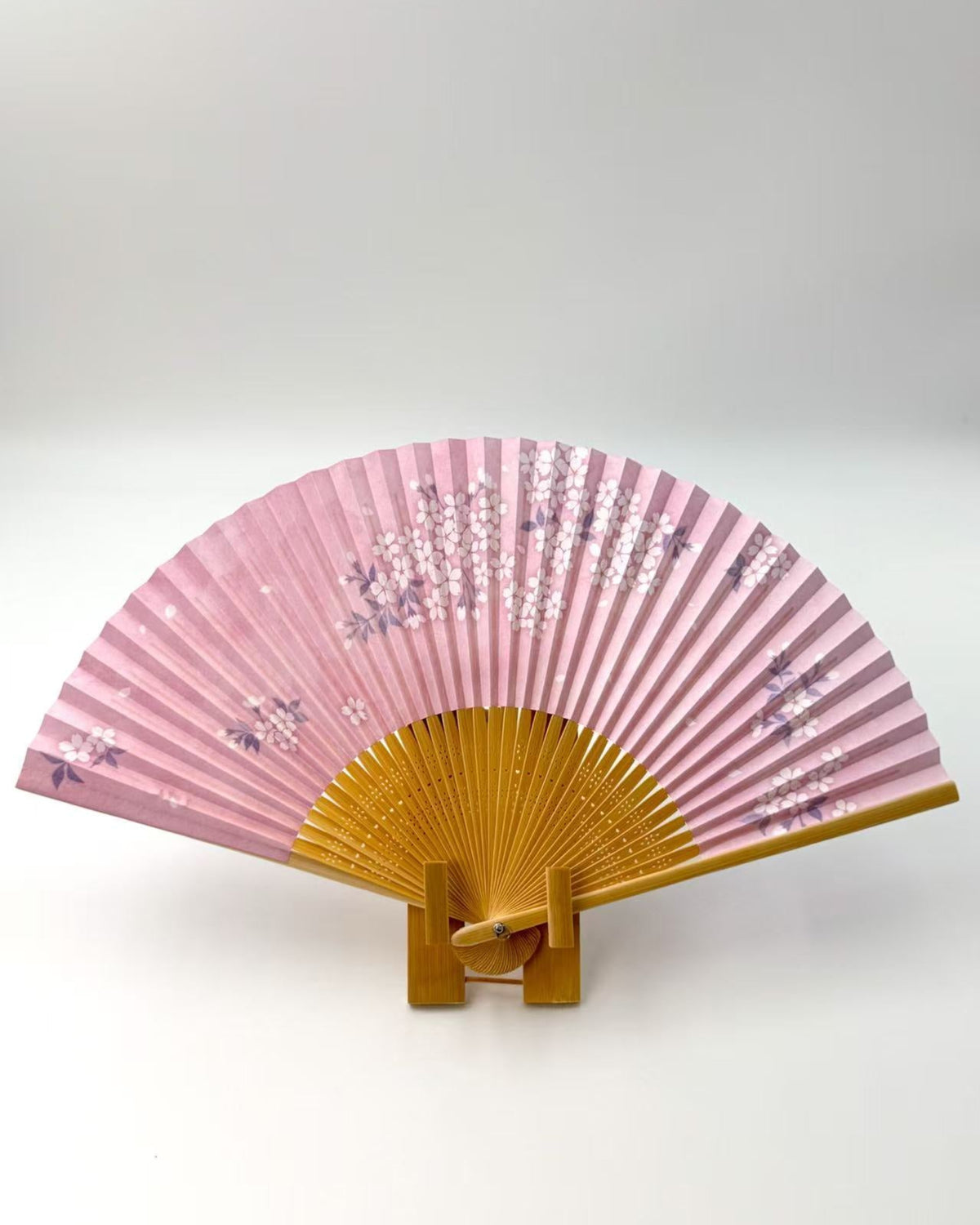 JAPANESE SEASONS FOLDING FAN | TANIGUCHI SHOYUDO