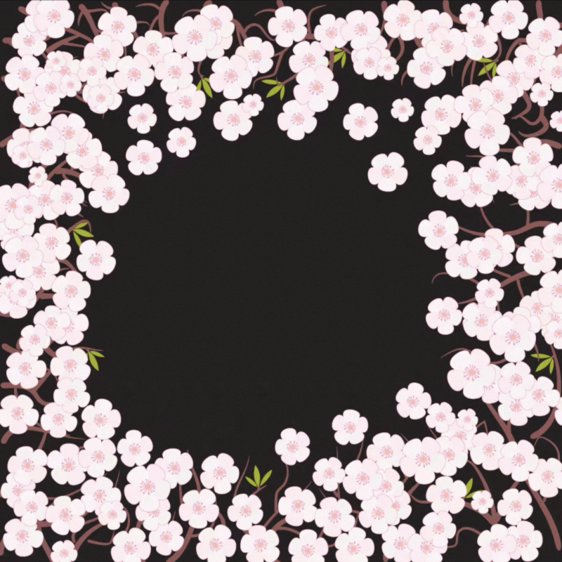 FUROSHIKI GIFT WRAP
